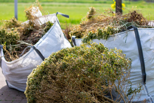 Best Basement Cleanout Services  in Seabrook, SC